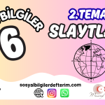 6.Sınıf 7.ünite Konu Testi