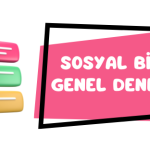 6.Sınıf Bursluluk Denemeleri