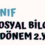 7.sınıf 1.dönem 2.yazılı sınavı (Açık Uçlu)