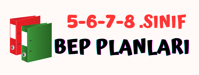 5-6-7-8. Sınıf BEP Planları