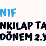 5-6-7-8. Sınıf BEP Planları