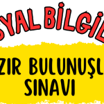6.Sınıf hazırbulunuşluk testi ( 20 soru )