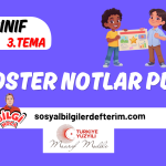 6.sınıf 2. öğrenme alanı Doğal ve Beşerî Çevre Özellikleri Arasındaki İlişki poster pdf