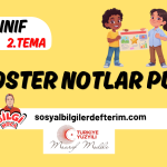 6.Sınıf 1.Öğrenme Alanı Poster Notlar